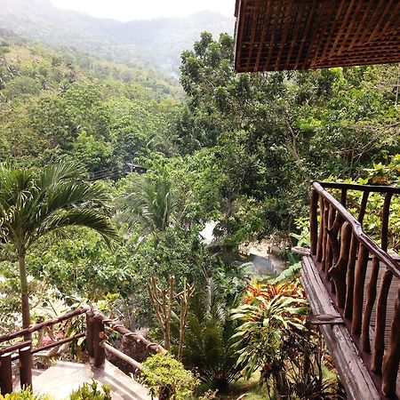 Hilltop Cottages Loboc Luaran gambar